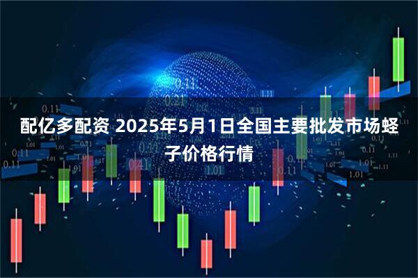 配亿多配资 2025年5月1日全国主要批发市场蛏子价格行情