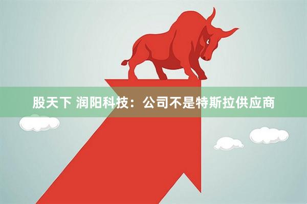 股天下 润阳科技：公司不是特斯拉供应商