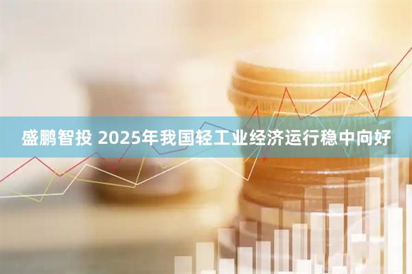 盛鹏智投 2025年我国轻工业经济运行稳中向好