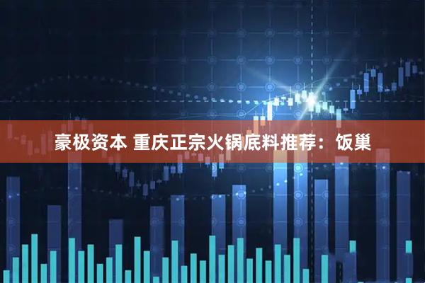 豪极资本 重庆正宗火锅底料推荐：饭巢