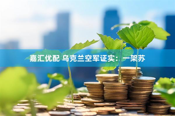 嘉汇优配 乌克兰空军证实：一架苏