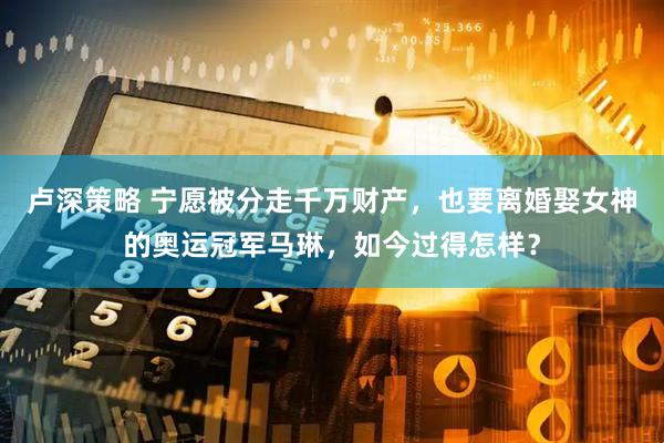 卢深策略 宁愿被分走千万财产，也要离婚娶女神的奥运冠军马琳，如今过得怎样？