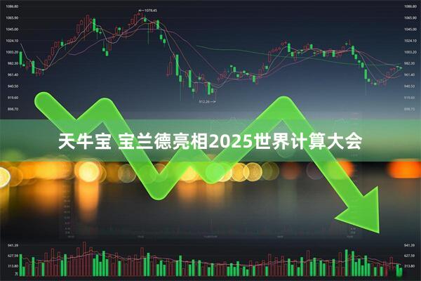 天牛宝 宝兰德亮相2025世界计算大会