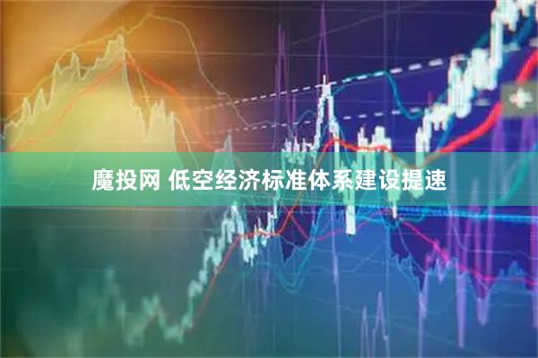 魔投网 低空经济标准体系建设提速