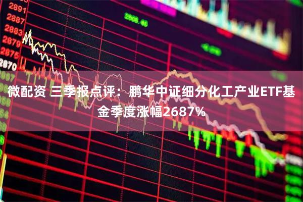 微配资 三季报点评：鹏华中证细分化工产业ETF基金季度涨幅2687%