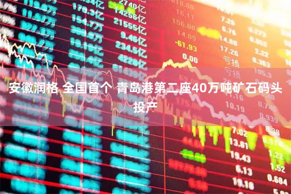 安徽润格 全国首个 青岛港第二座40万吨矿石码头投产