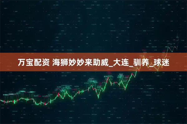 万宝配资 海狮妙妙来助威_大连_驯养_球迷
